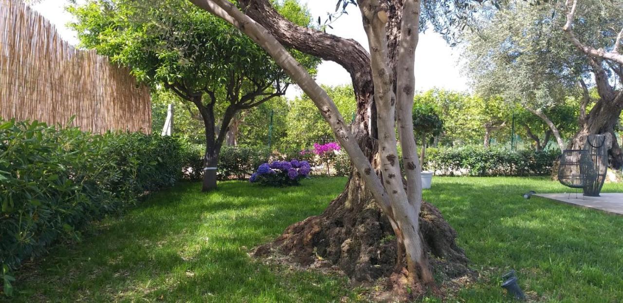 Villa Federica Con Piscina/With Pool ซานตามาเรีย เดล โฟกัลโล ภายนอก รูปภาพ